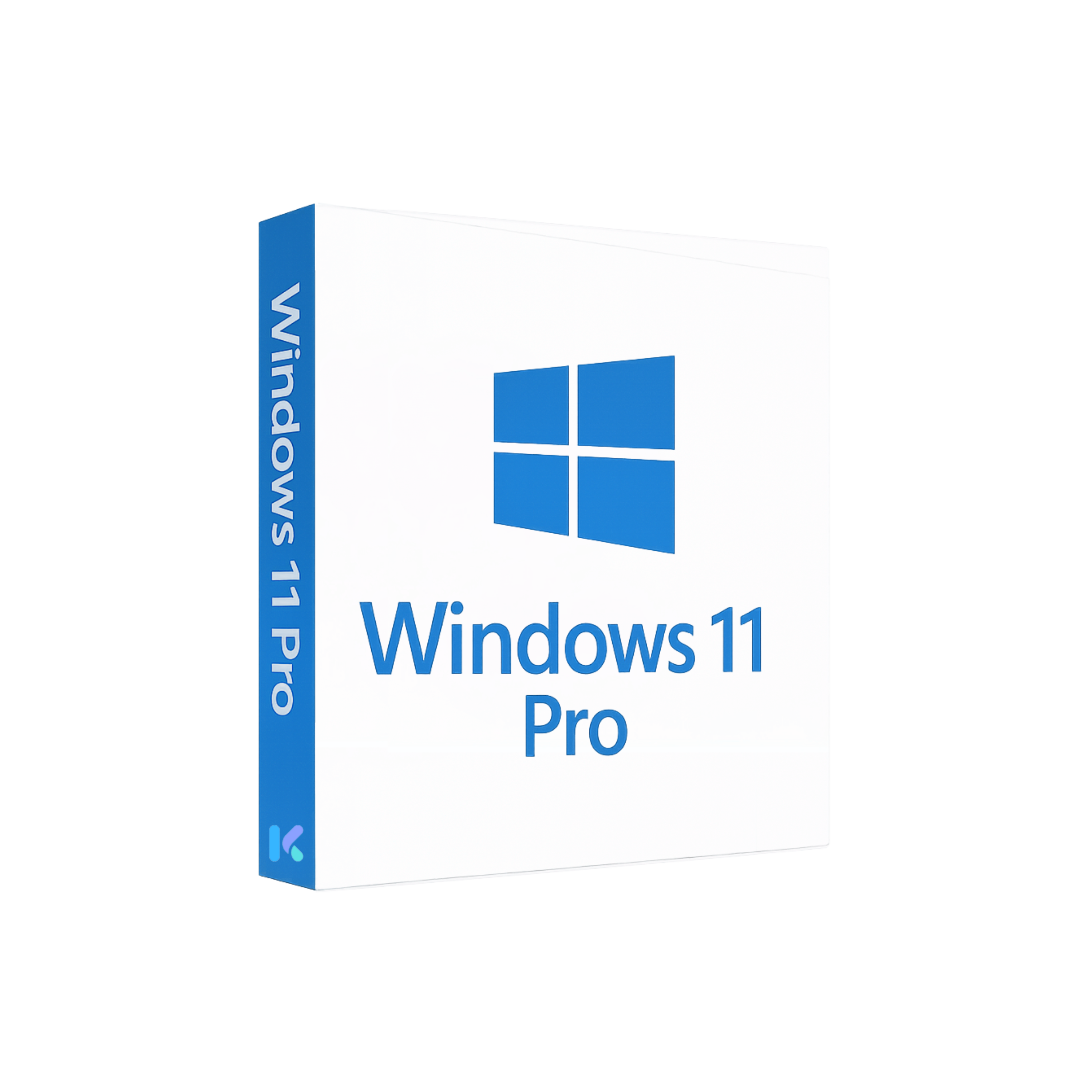 Windows 11 PRO